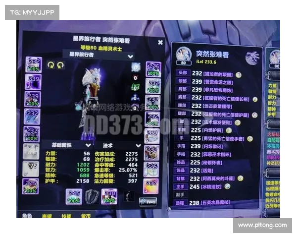 魔兽世界插件版本定制：全新中心